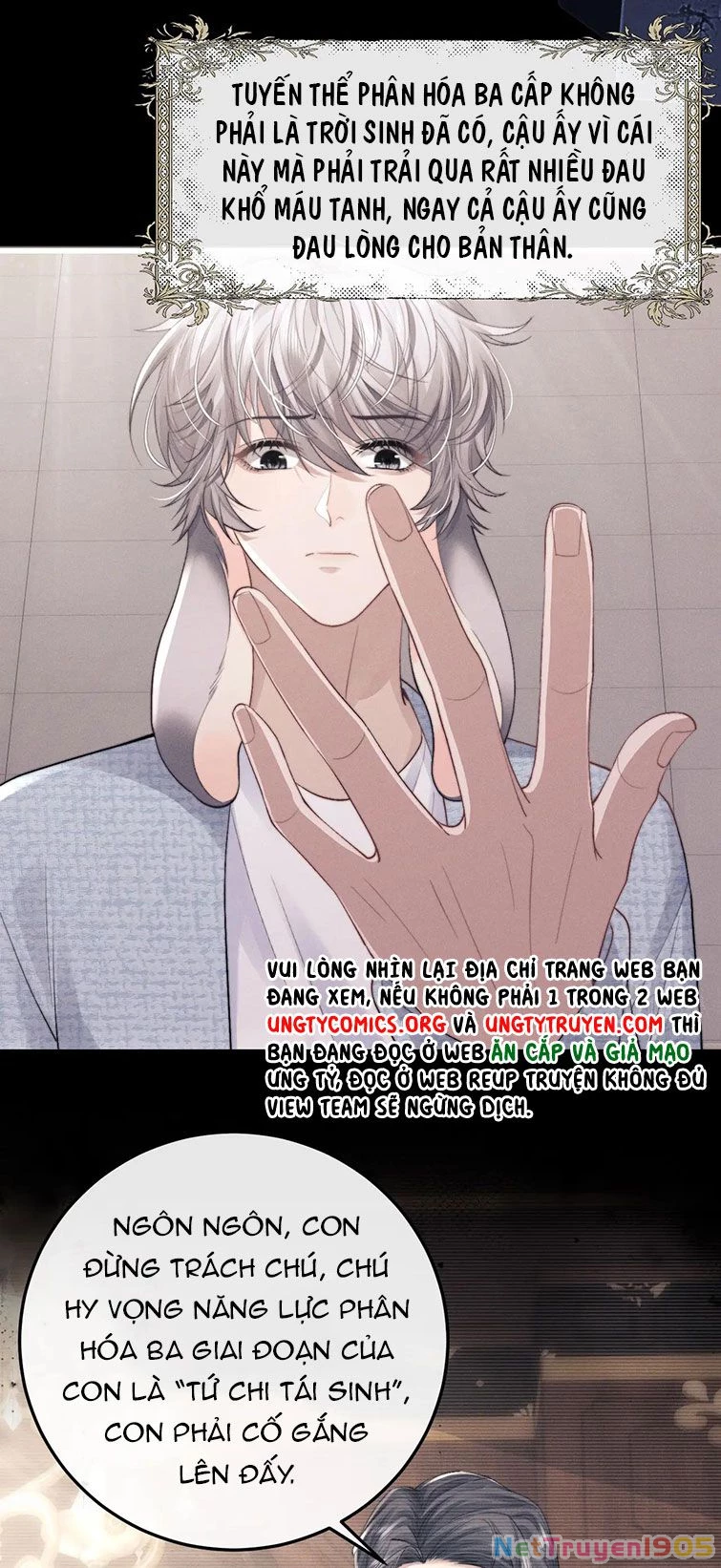 Chấp Sự Thỏ Cụp Tai Chapter 22 - 4