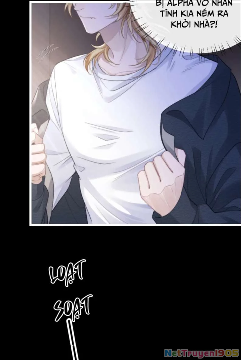 Chấp Sự Thỏ Cụp Tai Chapter 23 - 13