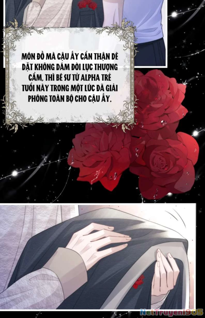 Chấp Sự Thỏ Cụp Tai Chapter 23 - 21