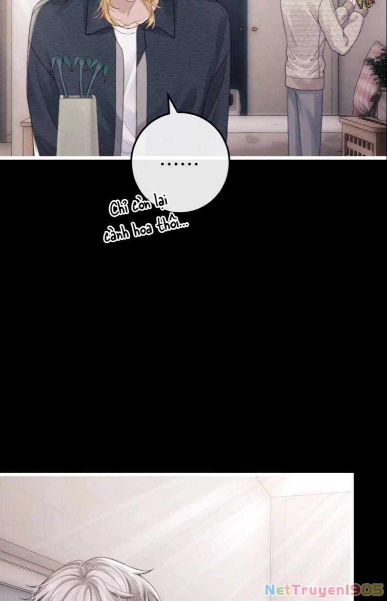 Chấp Sự Thỏ Cụp Tai Chapter 23 - 29