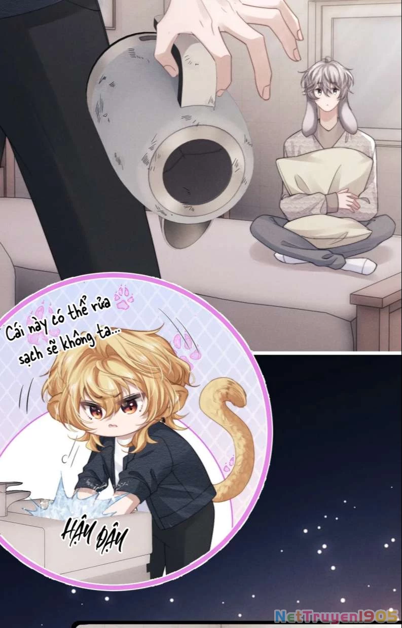 Chấp Sự Thỏ Cụp Tai Chapter 23 - 32