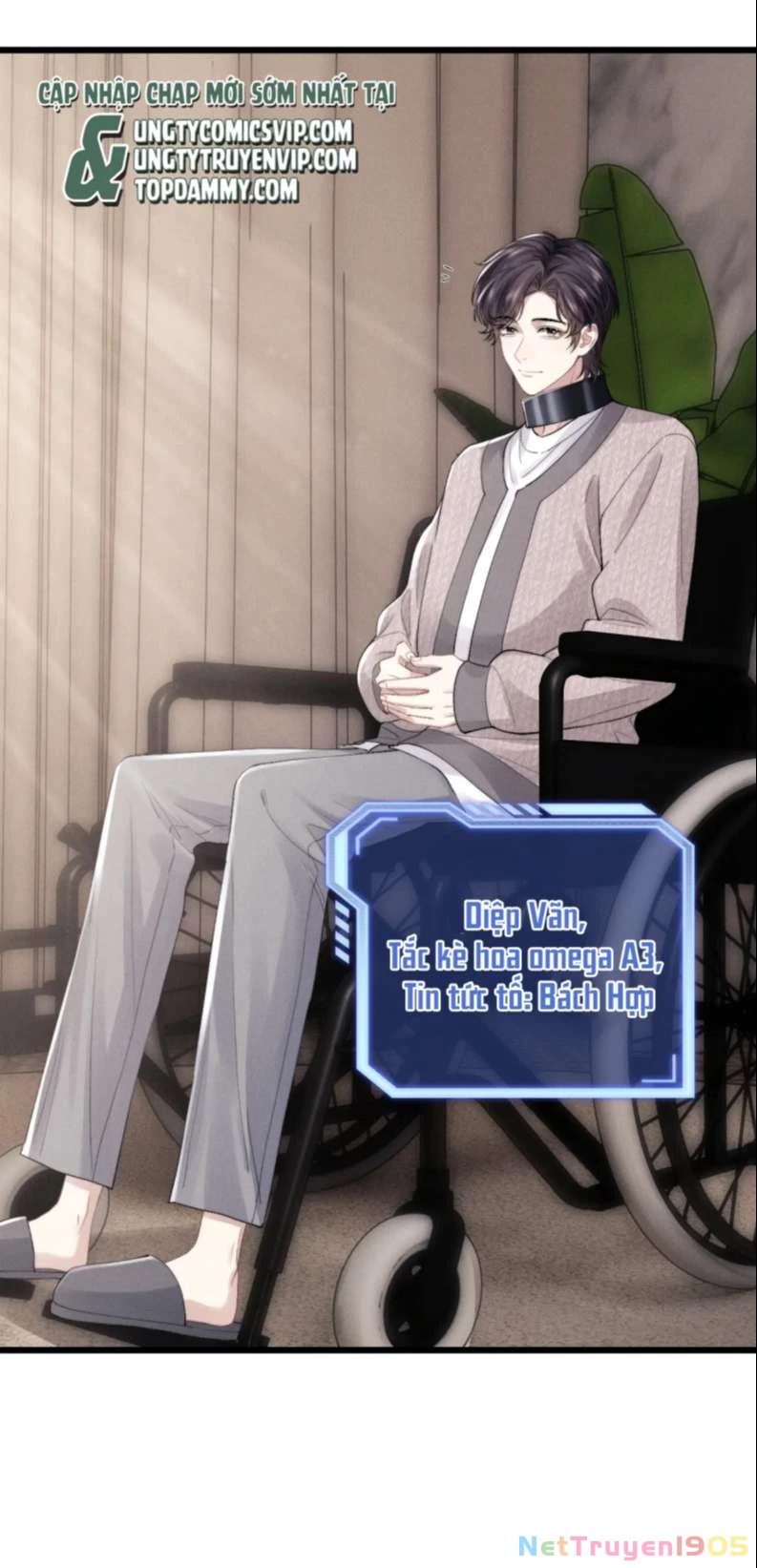 Chấp Sự Thỏ Cụp Tai Chapter 30 - 19