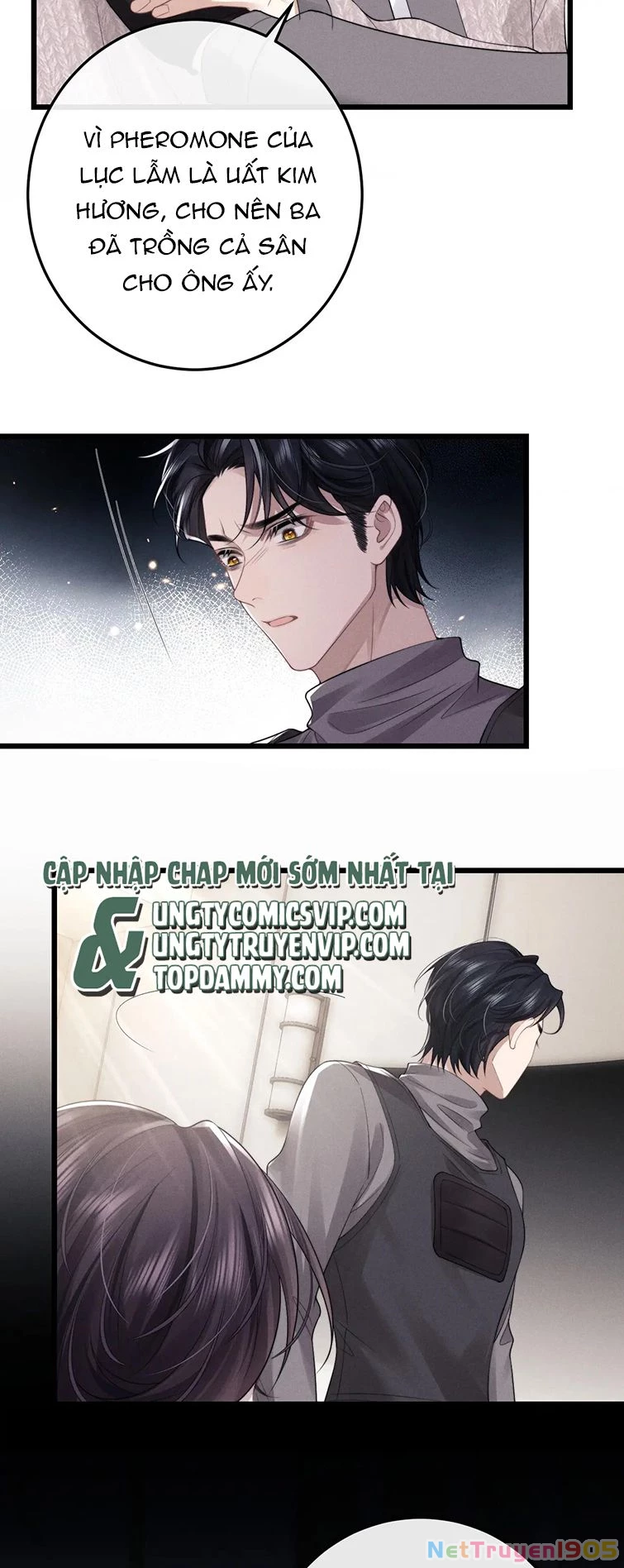 Chấp Sự Thỏ Cụp Tai Chapter 31 - 12