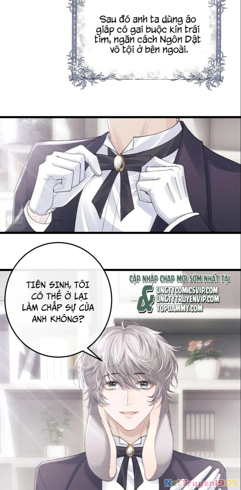 Chấp Sự Thỏ Cụp Tai Chapter 32 - 27