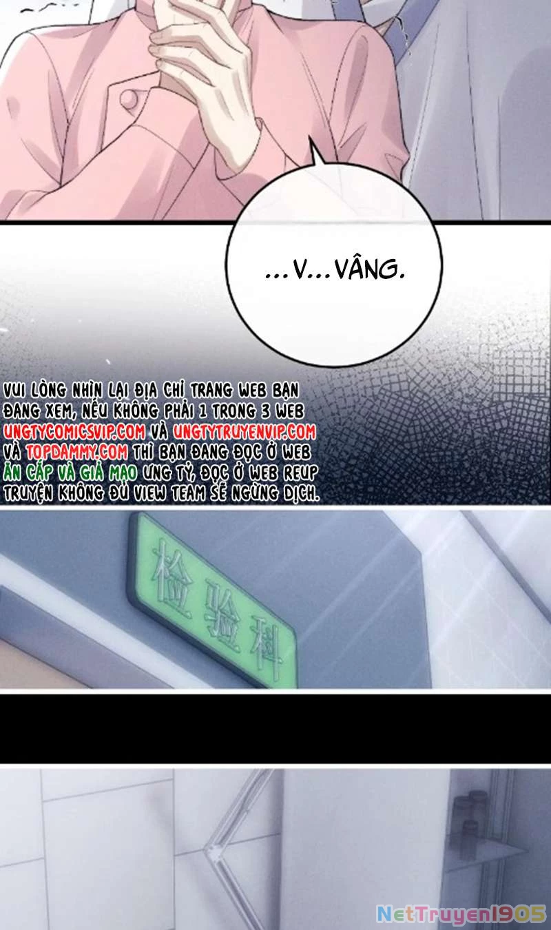 Chấp Sự Thỏ Cụp Tai Chapter 35 - 5