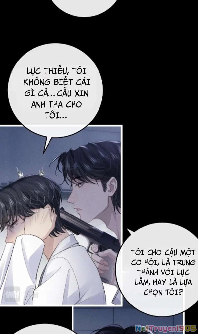 Chấp Sự Thỏ Cụp Tai Chapter 35 - 10