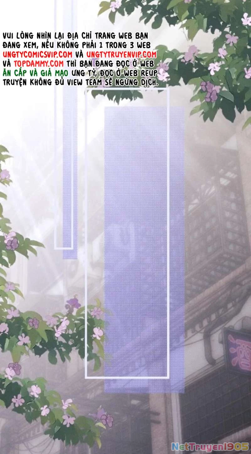 Chấp Sự Thỏ Cụp Tai Chapter 35 - 14