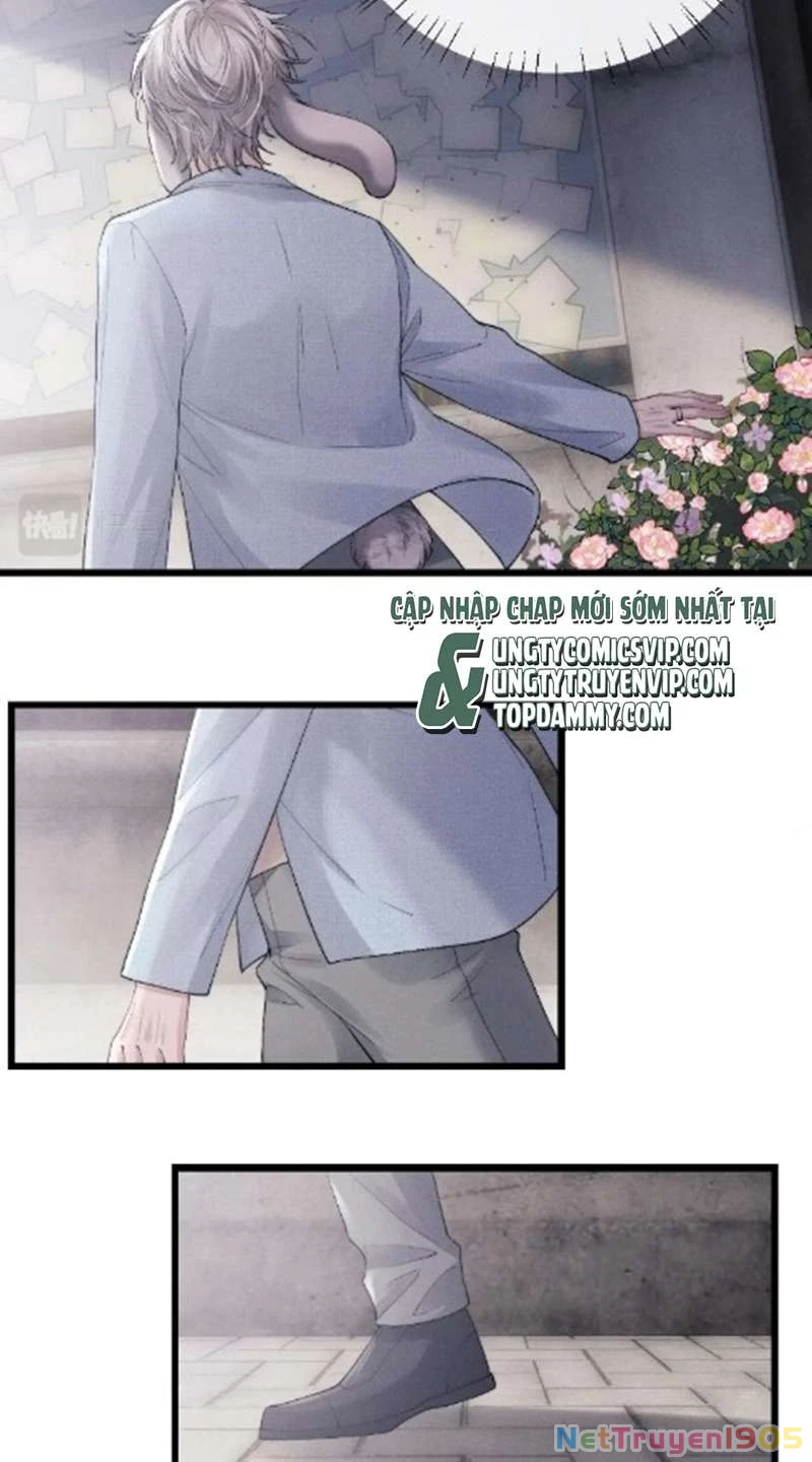 Chấp Sự Thỏ Cụp Tai Chapter 35 - 16