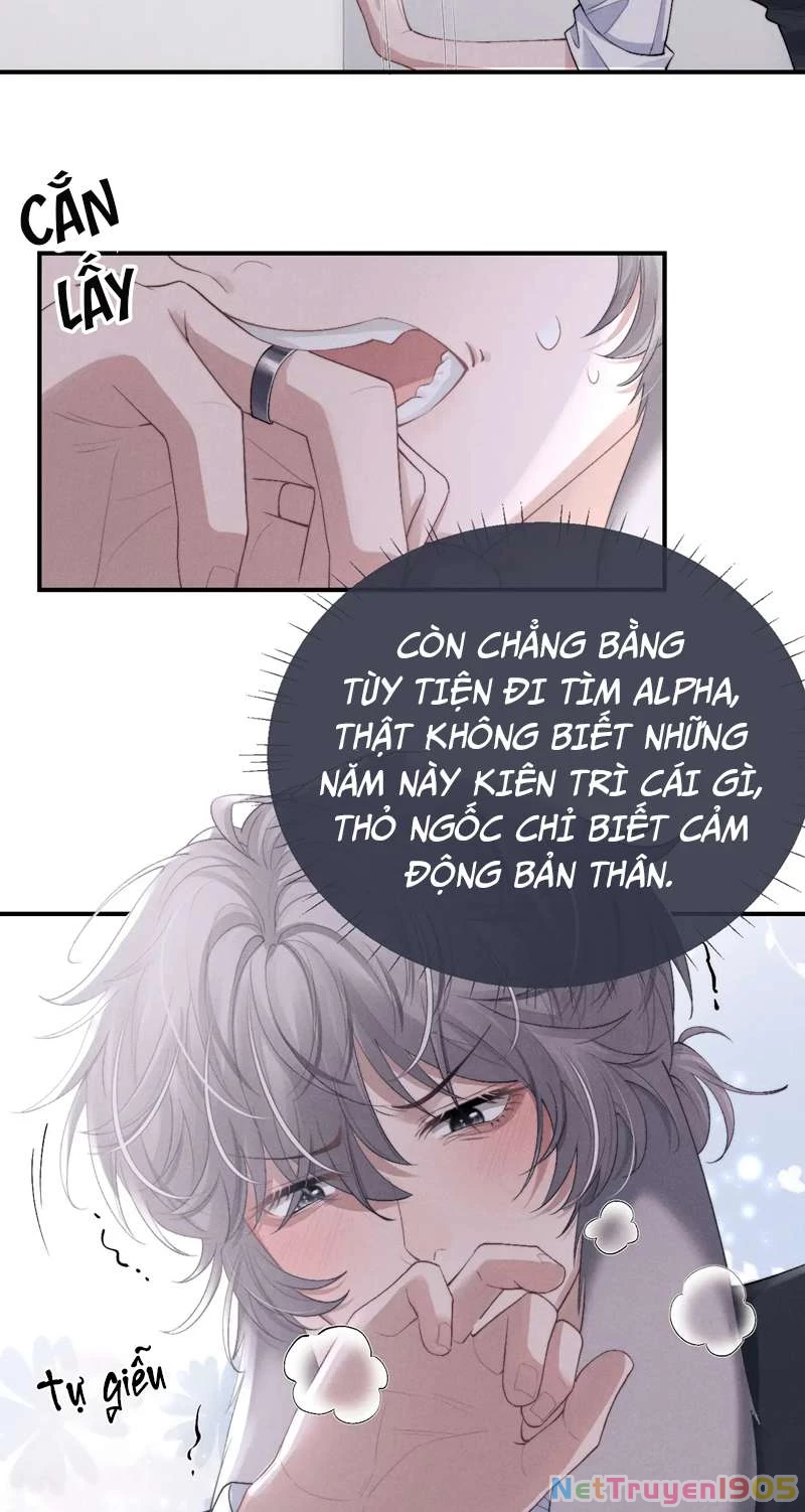 Chấp Sự Thỏ Cụp Tai Chapter 37 - 11