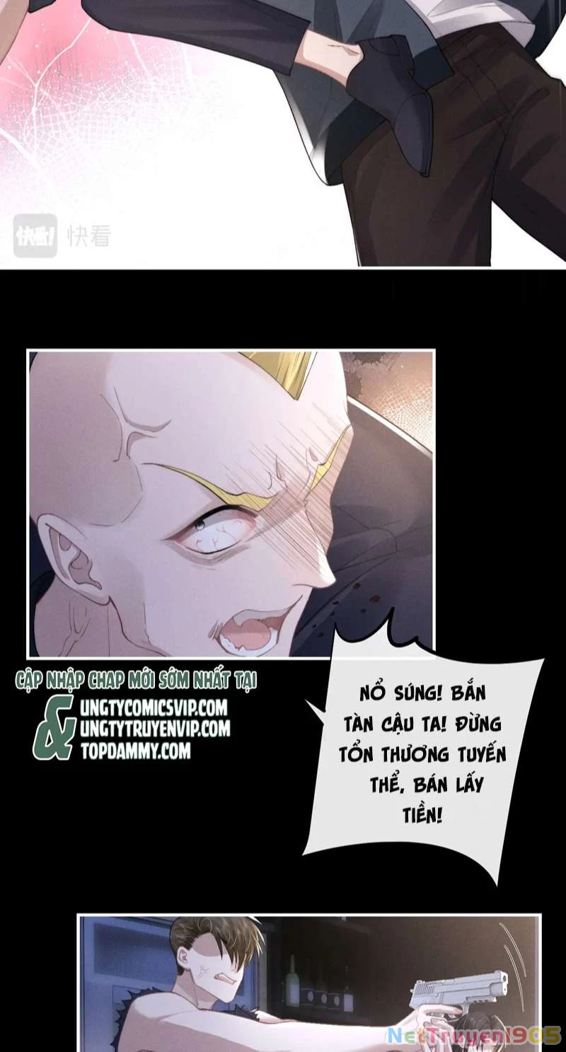 Chấp Sự Thỏ Cụp Tai Chapter 37 - 28