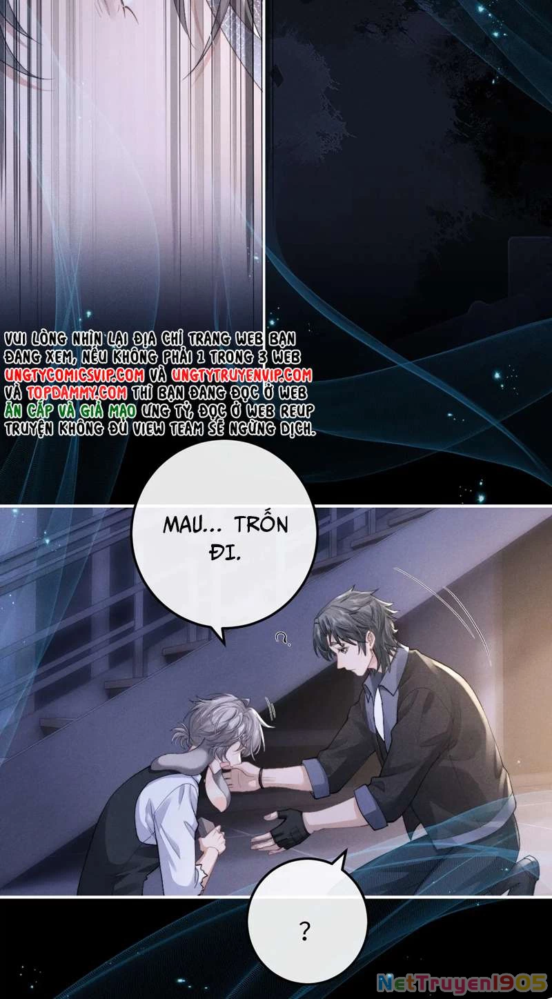 Chấp Sự Thỏ Cụp Tai Chapter 37 - 36