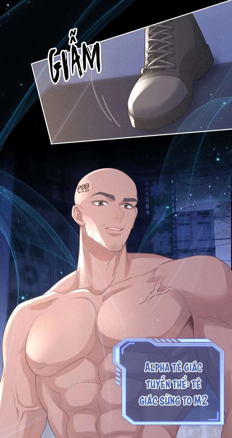 Chấp Sự Thỏ Cụp Tai Chapter 37 - 37