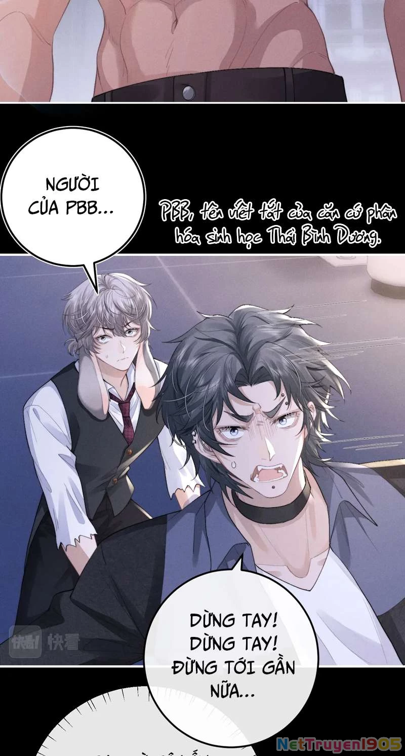 Chấp Sự Thỏ Cụp Tai Chapter 37 - 38