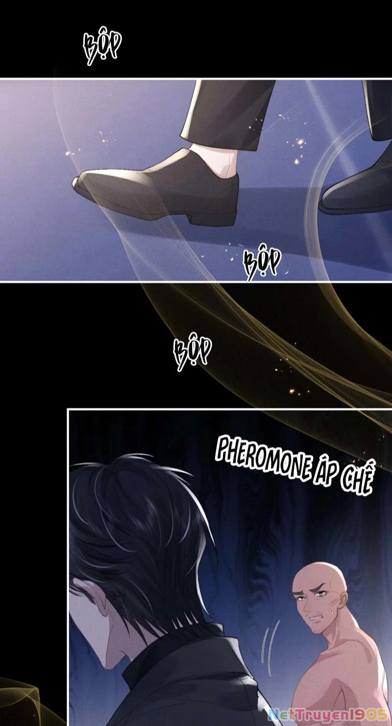 Chấp Sự Thỏ Cụp Tai Chapter 37 - 47