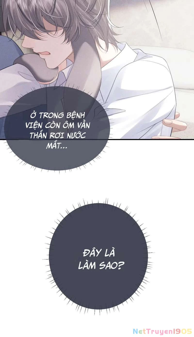 Chấp Sự Thỏ Cụp Tai Chapter 39 - 17