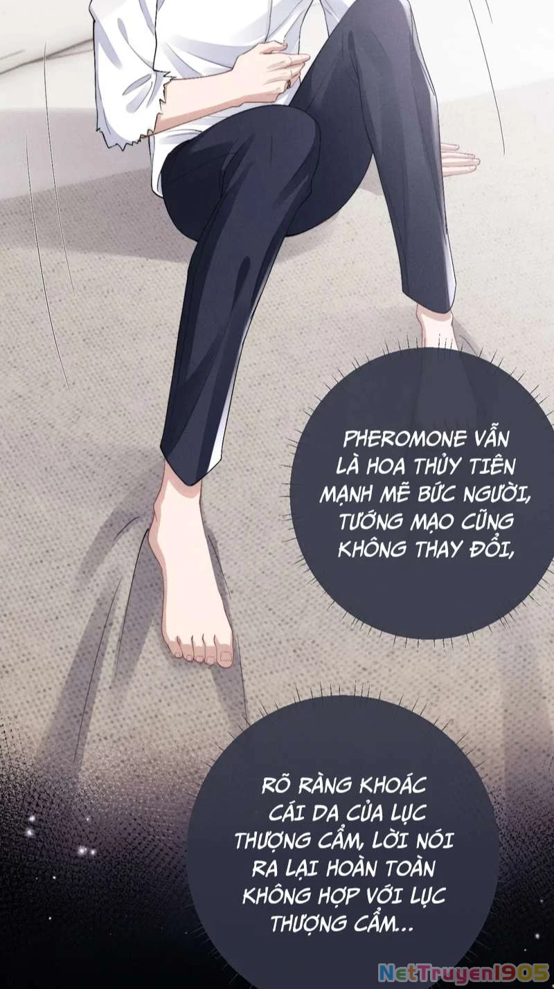 Chấp Sự Thỏ Cụp Tai Chapter 39 - 22