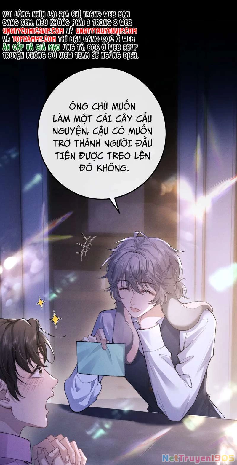 Chấp Sự Thỏ Cụp Tai Chapter 44 - 15