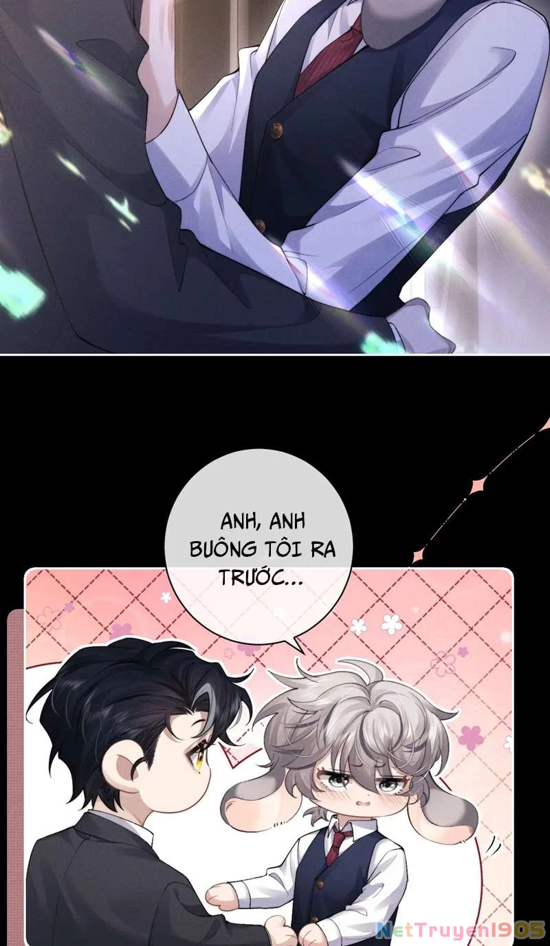 Chấp Sự Thỏ Cụp Tai Chapter 45 - 4