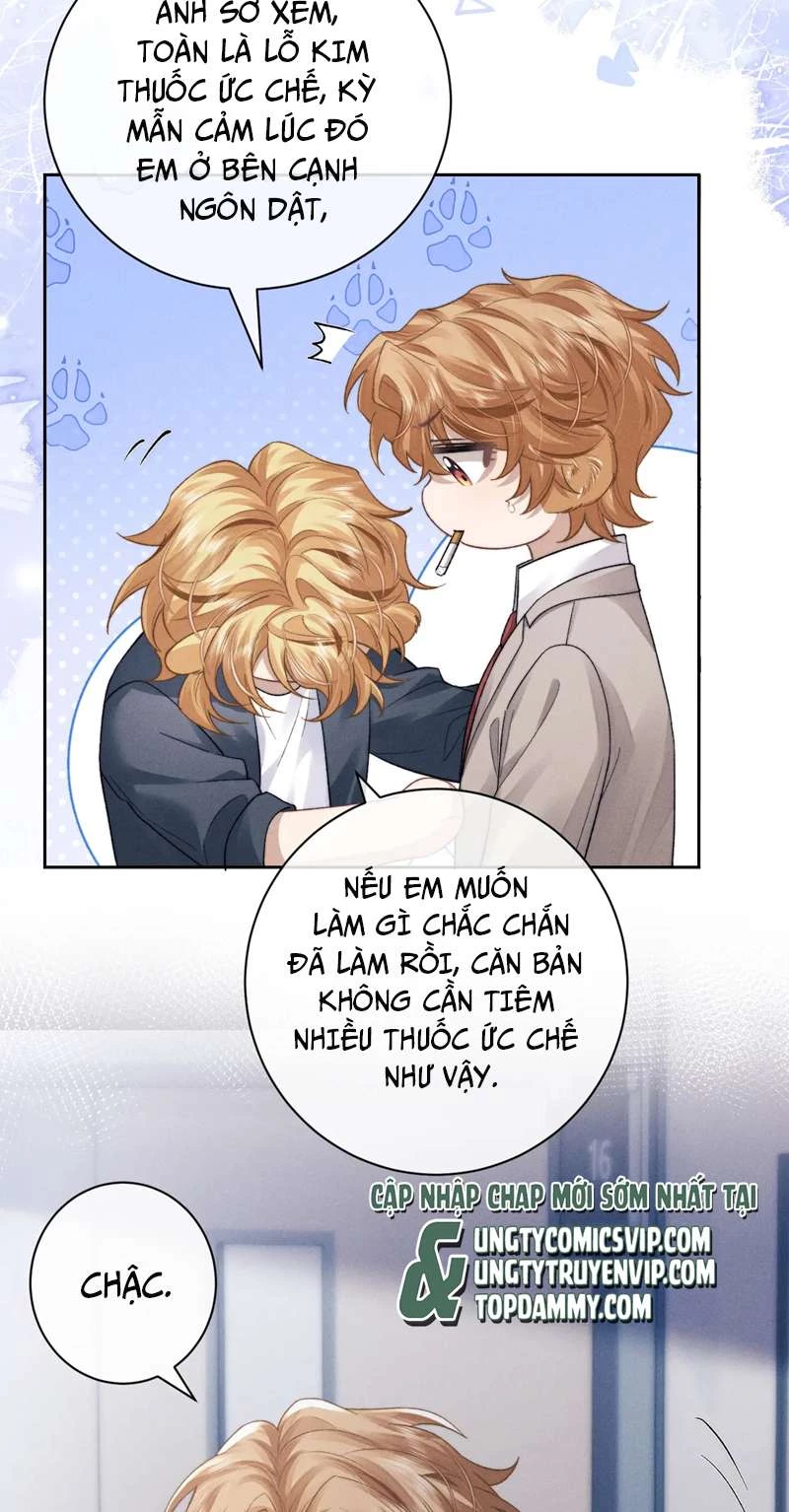 Chấp Sự Thỏ Cụp Tai Chapter 49 - 24