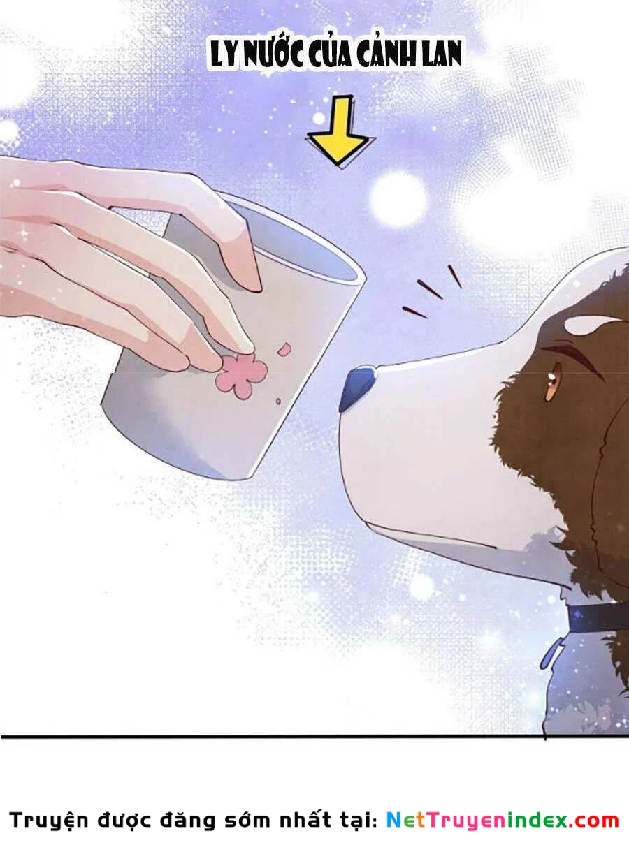 Tôi Có Ông Chồng Hay Ghen Chapter 62 - 34