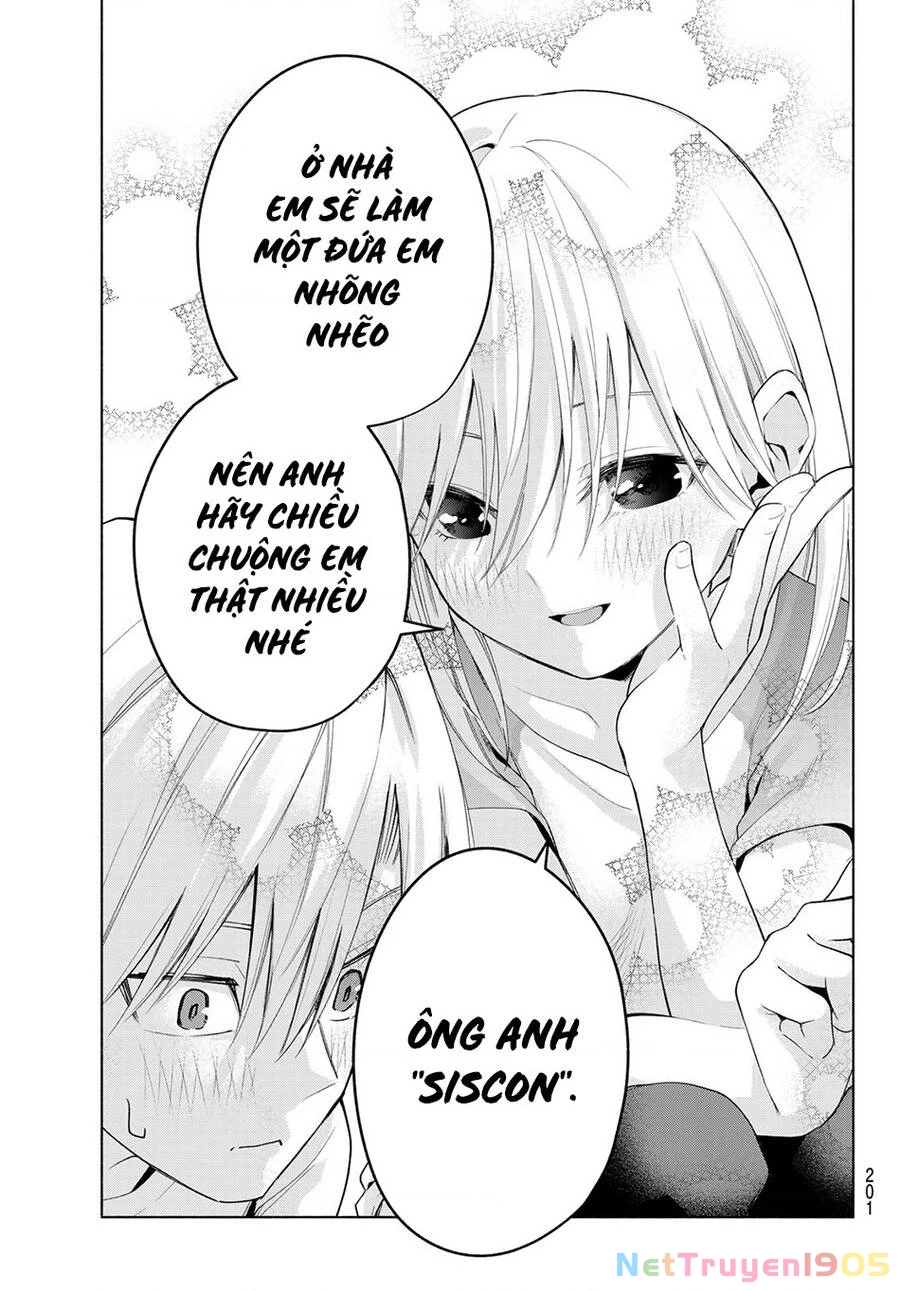 Amagami-San Chi No Enmusubi Chapter 47 - 22