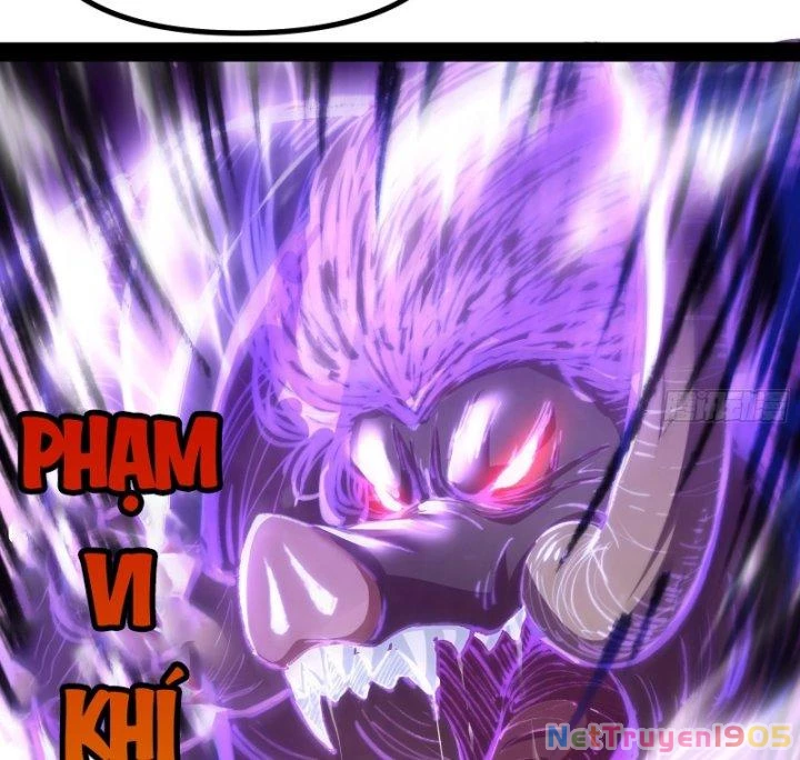 Giả Lập Tu Hành Của Ta Chapter 8 - 39