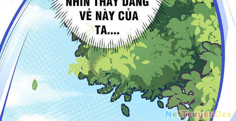 Kiếm vực vô địch Chapter 5 - 6