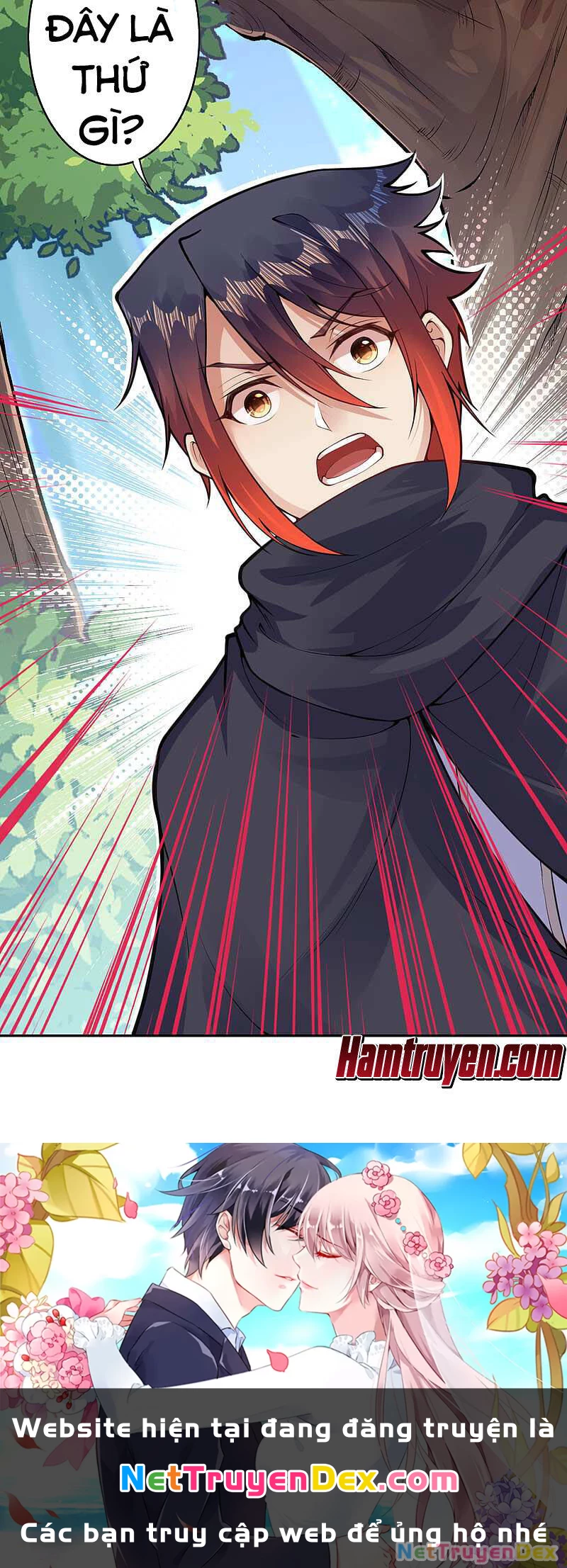 Kiếm vực vô địch Chapter 29 - 28