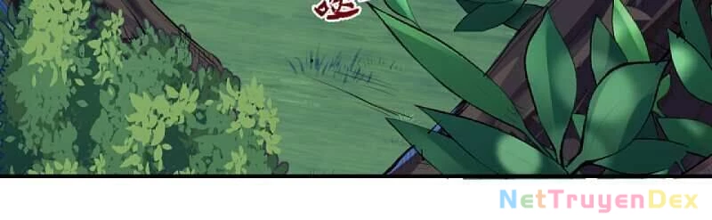 Kiếm vực vô địch Chapter 31 - 2