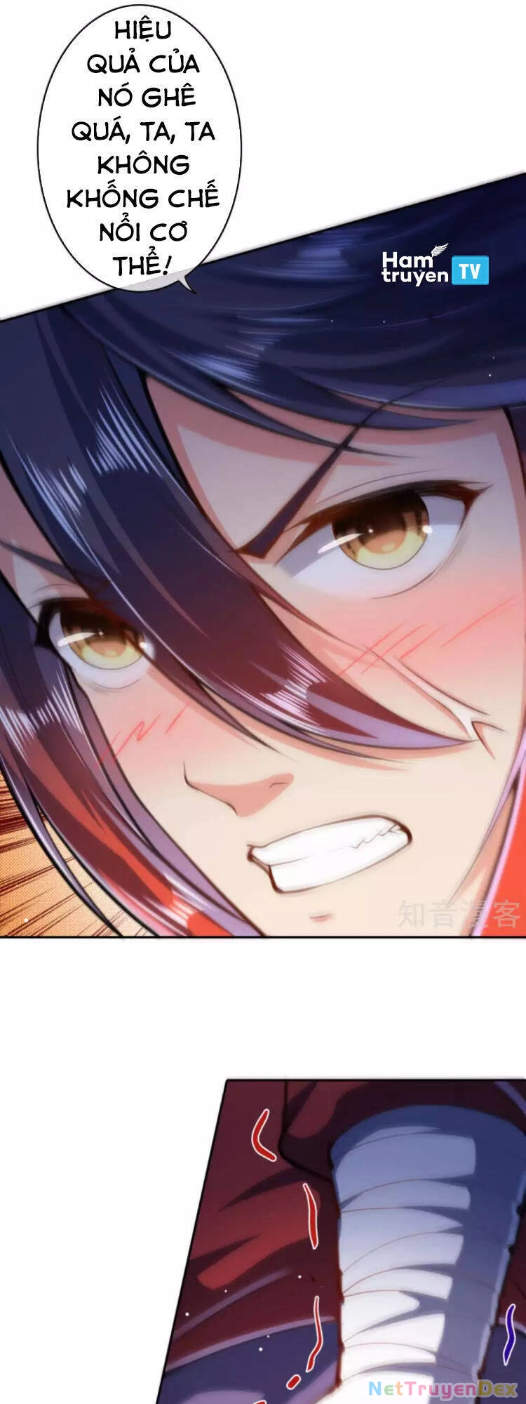 Kiếm vực vô địch Chapter 44 - 14