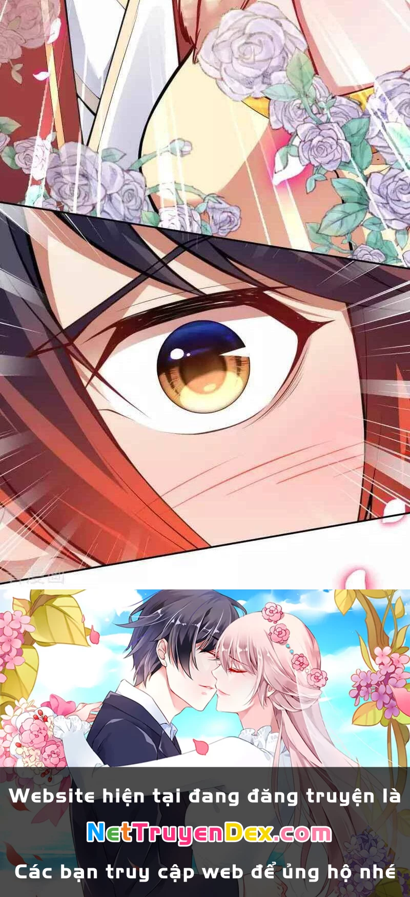 Kiếm vực vô địch Chapter 96 - 23