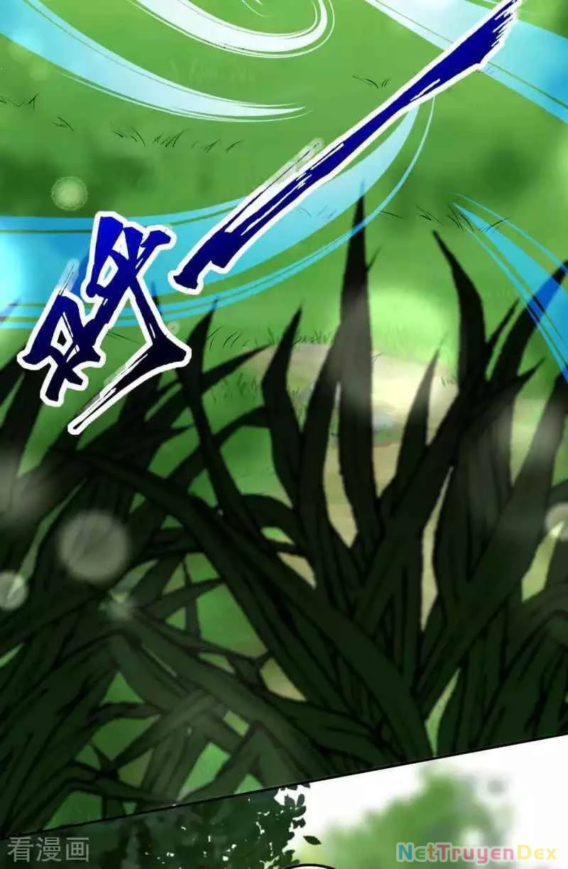 Kiếm vực vô địch Chapter 100 - 11