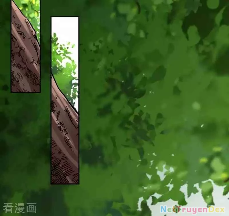 Kiếm vực vô địch Chapter 104 - 14