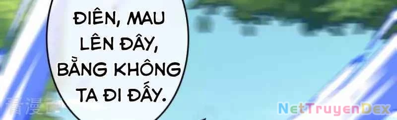 Kiếm vực vô địch Chapter 108 - 11