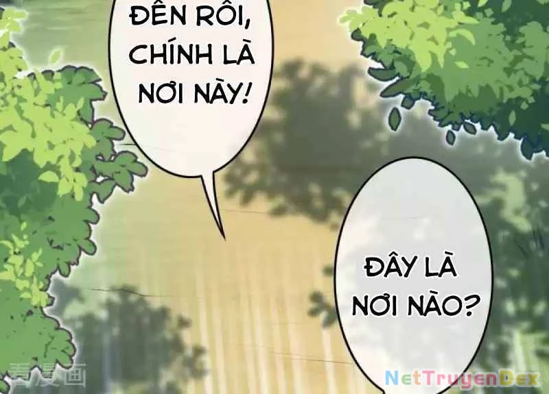 Kiếm vực vô địch Chapter 110 - 19