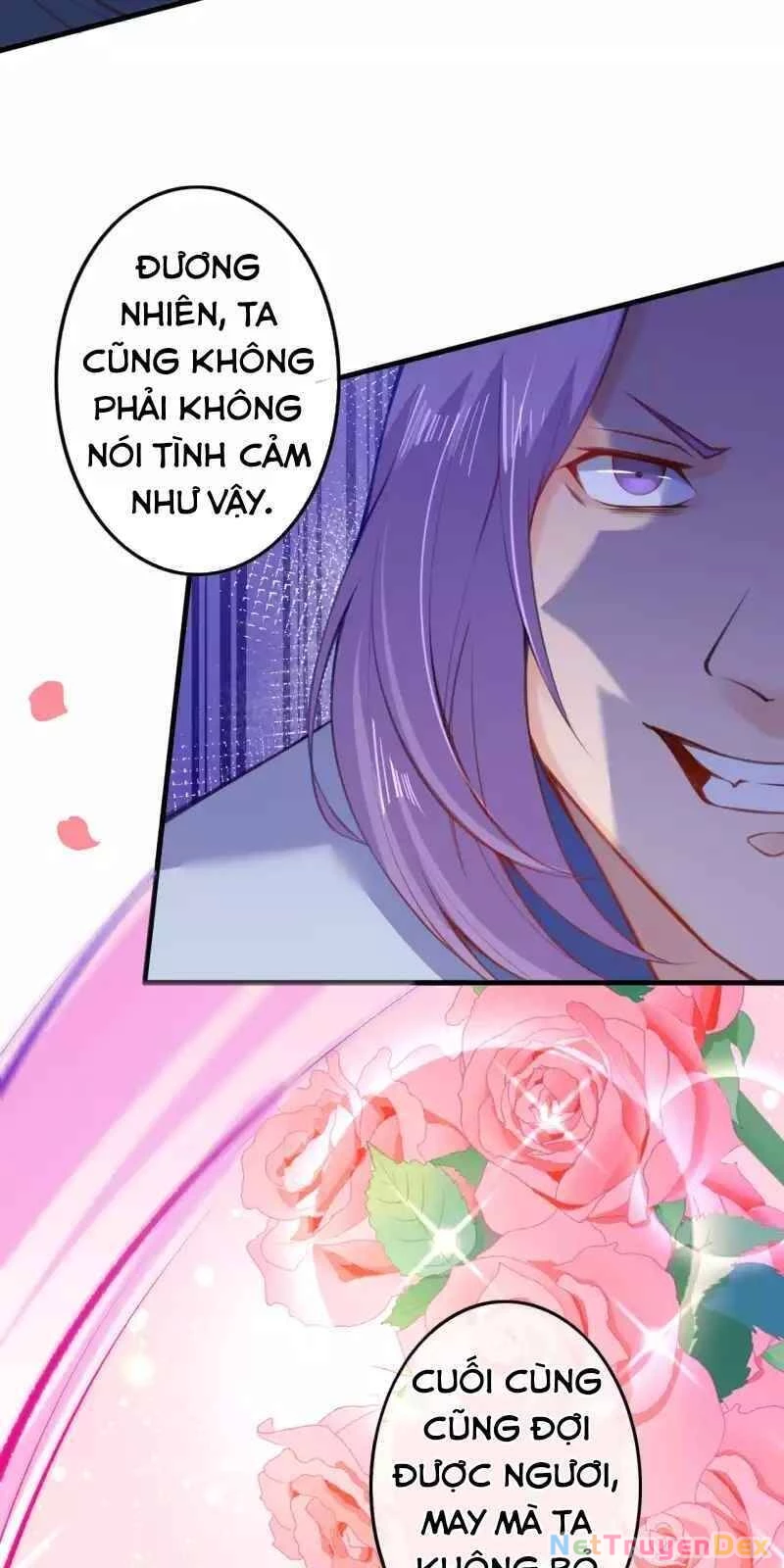 Kiếm vực vô địch Chapter 113 - 5