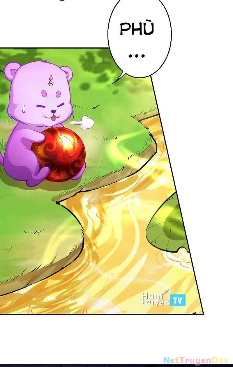 Kiếm vực vô địch Chapter 127 - 20