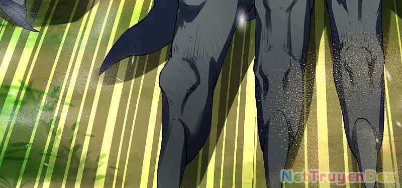 Kiếm vực vô địch Chapter 138 - 13