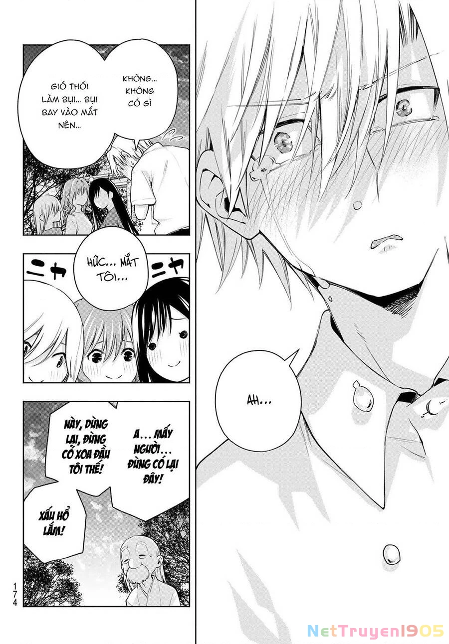 Amagami-San Chi No Enmusubi Chapter 50 - 19