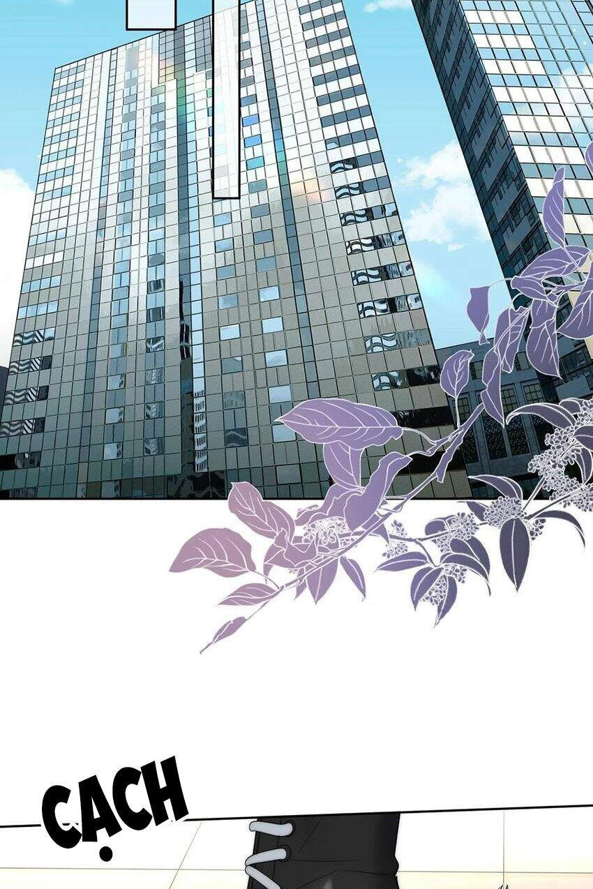 Boss Đại Nhân Là Nữ Thần? Chapter 55 - 17