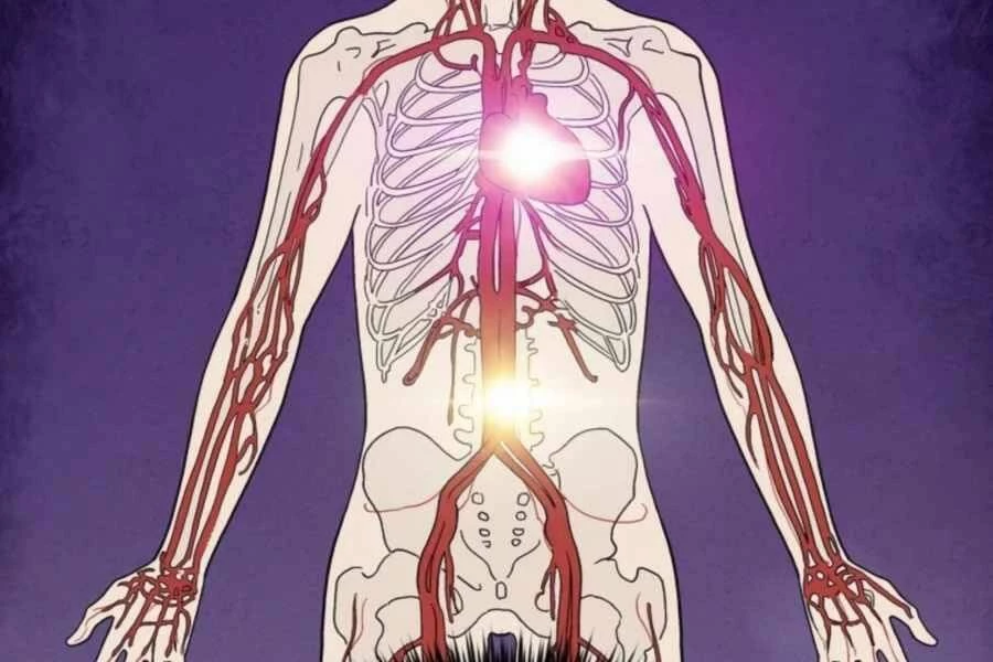 Trọng Sinh Thành Thần Y Thời Tam Quốc Chapter 31 - 9