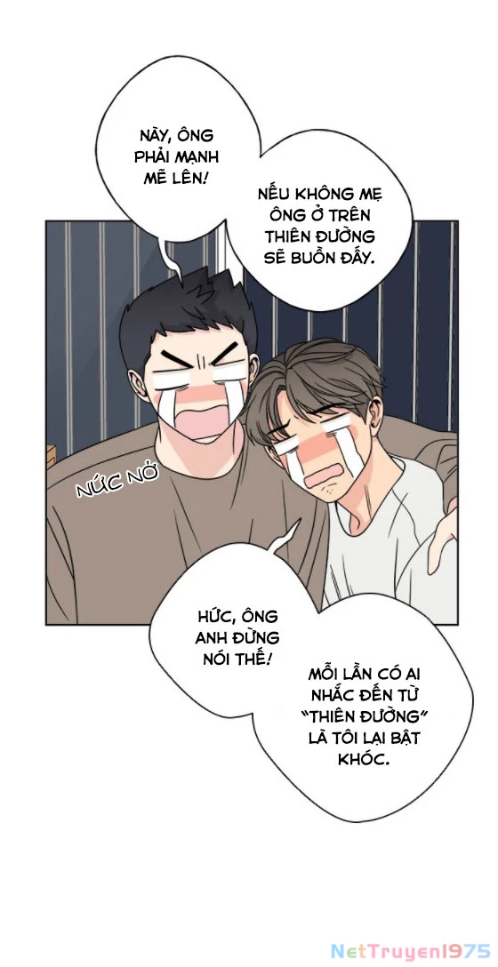 Mẹ Ơi, Con Xin Lỗi! Chapter 17 - 52