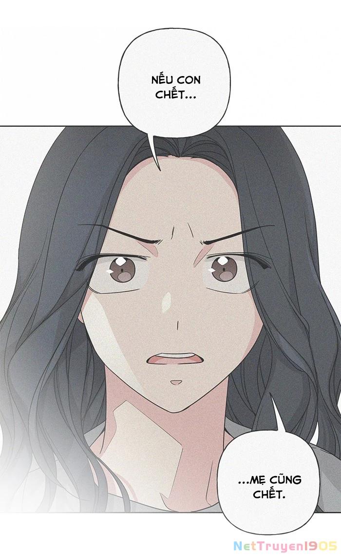 Mẹ Ơi, Con Xin Lỗi! Chapter 19 - 31