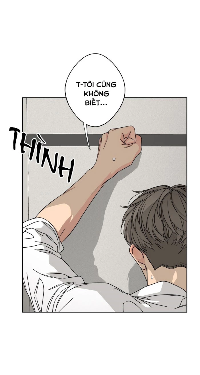 Mẹ Ơi, Con Xin Lỗi! Chapter 24 - 81