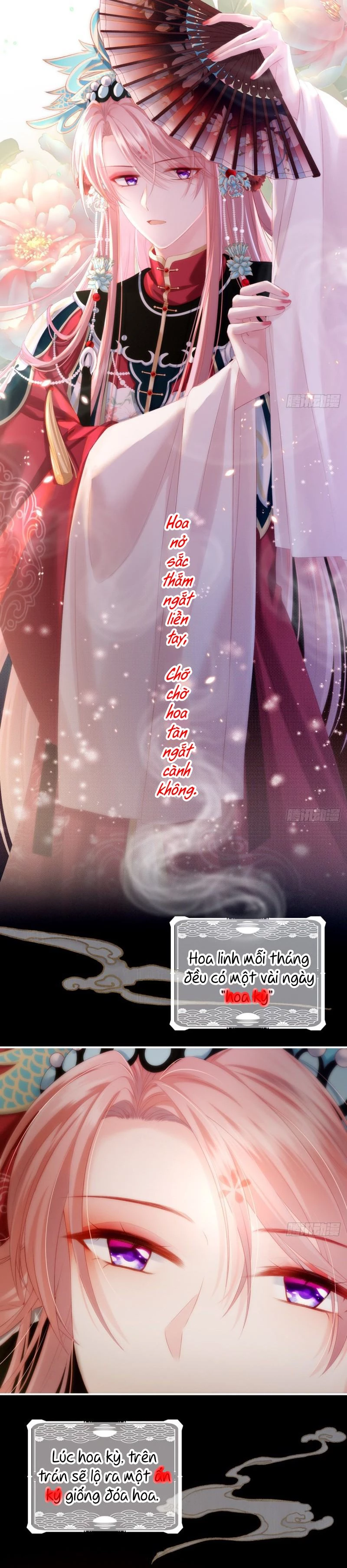 Kiều Phu Có Hỉ Chapter 1 - 8