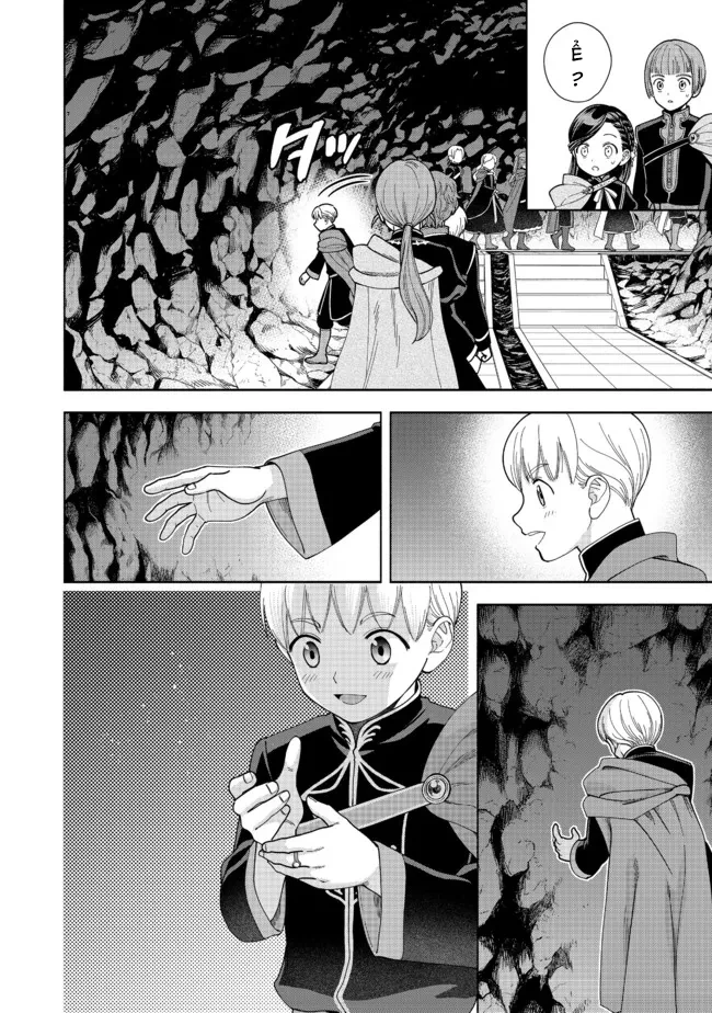 Honzuki no Gekokujou: Dai 4-bu Kizoku-in no toshokan o sukutai! Chapter 14 - 12