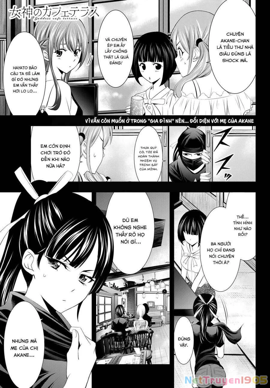 Quán Cà Phê Nữ Thần Chapter 19 - 3
