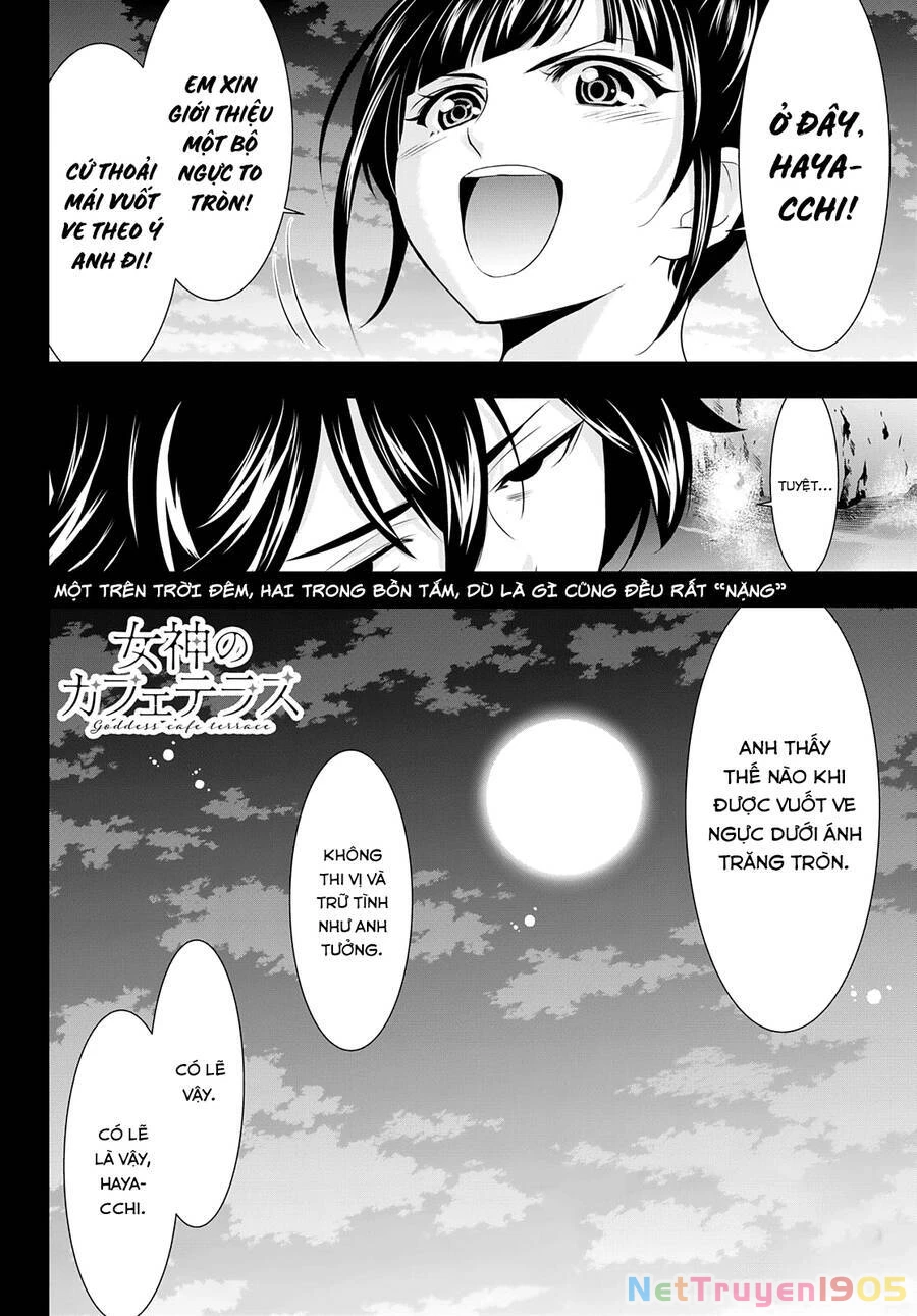 Quán Cà Phê Nữ Thần Chapter 63 - 19