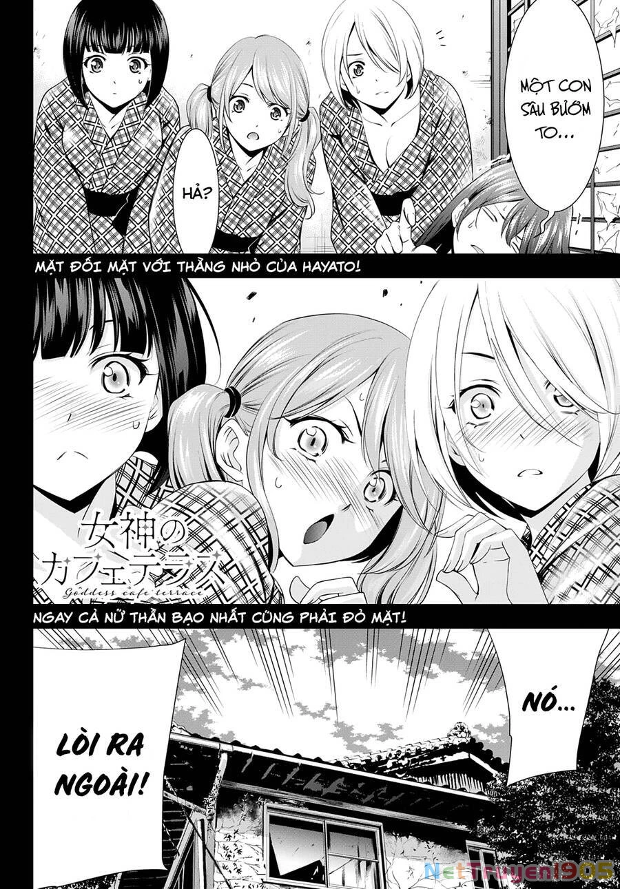 Quán Cà Phê Nữ Thần Chapter 64 - 19