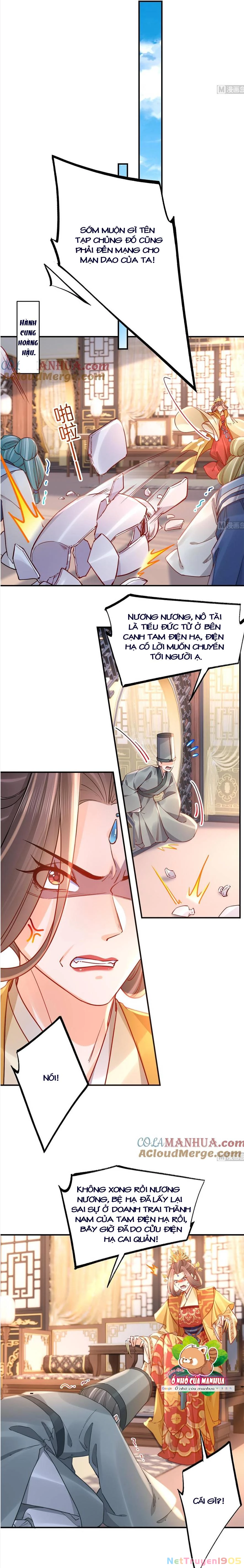 Hoàng Đệ Đừng Nhấc Đao Chapter 77 - 8